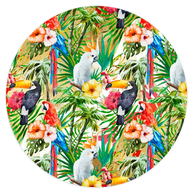 2102855-Tropical-Ana