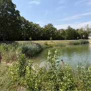 IMG 7868