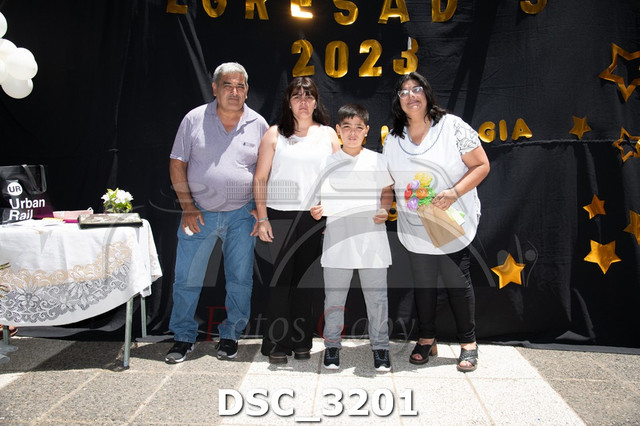 DSC-3201