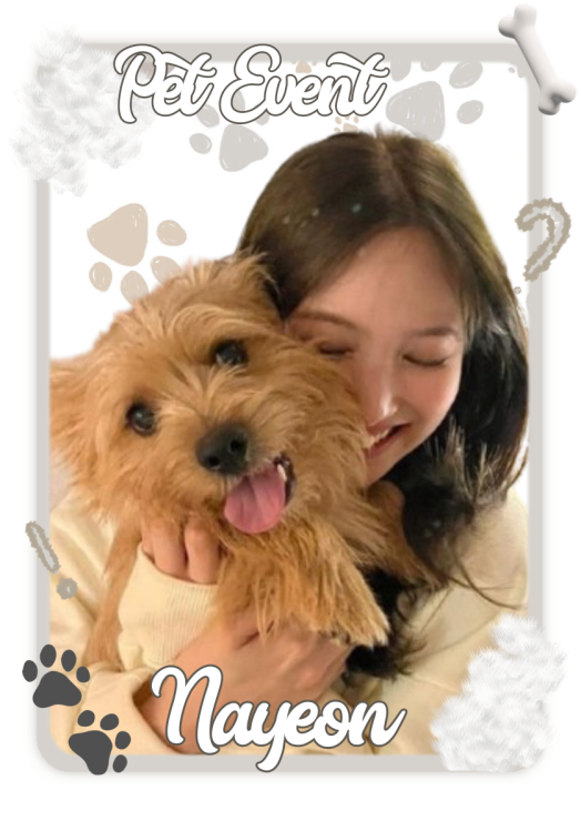 Haewon-Bot-Template8-20250408162705.webp