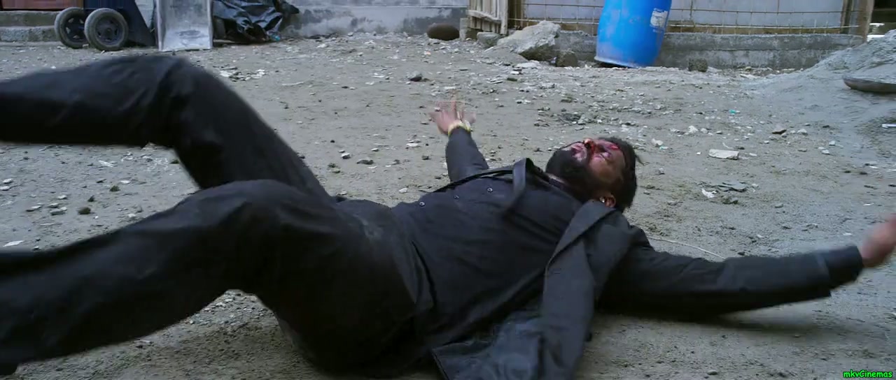 Baaghi Screenshot