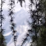 IMG 20260811 094917