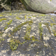 20260719 121905