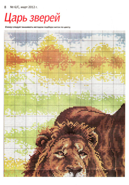 scan-8