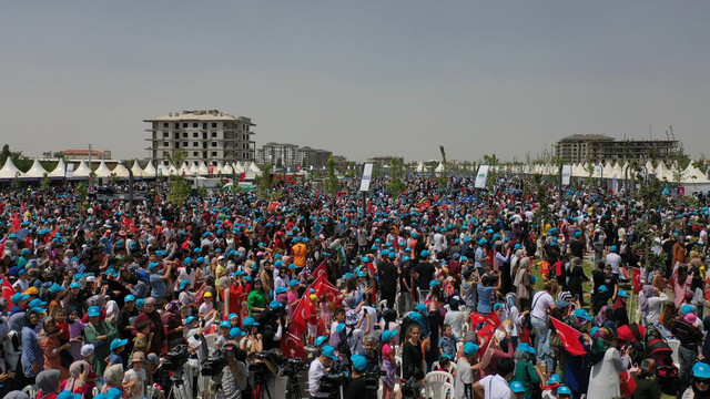 ceb36771.jpg