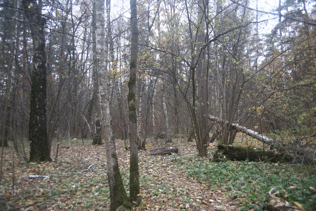 IMG-2099