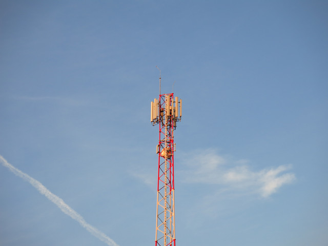 IMG-0331