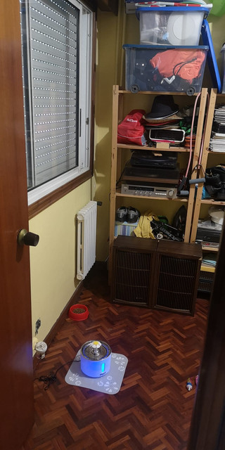 [Imagen: Foto-3.jpg]