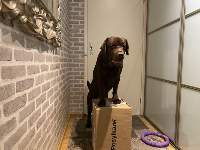 4-E91-E7-E1-D4-DA-4189-90-D4-430-A972487