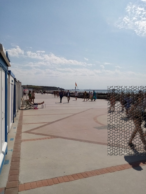 https://i.ibb.co/8KtmB3b/plage2024.jpg