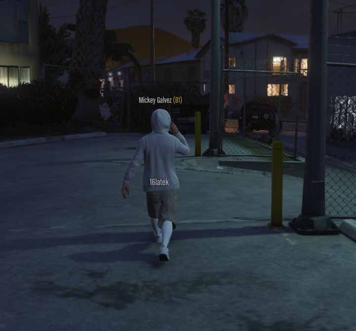 ss13.jpg