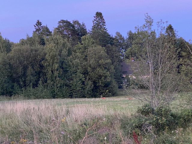 B70-BDFB8-FEFD-4-F55-9-B46-28-A80394-AFF