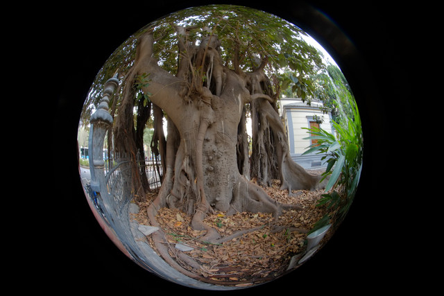 DSCF8977.jpg