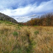 DSCN4953