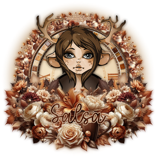 xcd-ap-cm-Salsa-christy.png