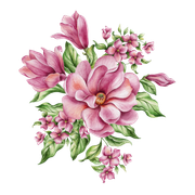 b2c675c3df044f43b4fe316e555cf579
