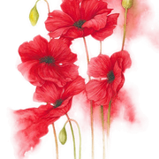 pngegg (7).png