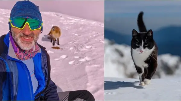 Meteorologul singuratic de pe vârful Omu, la 2.505 metri, cu pisica și vulpea lui.