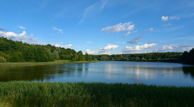 06.jpg