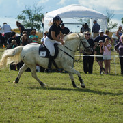 DSC05464