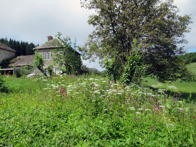 E Titley Junction.jpg