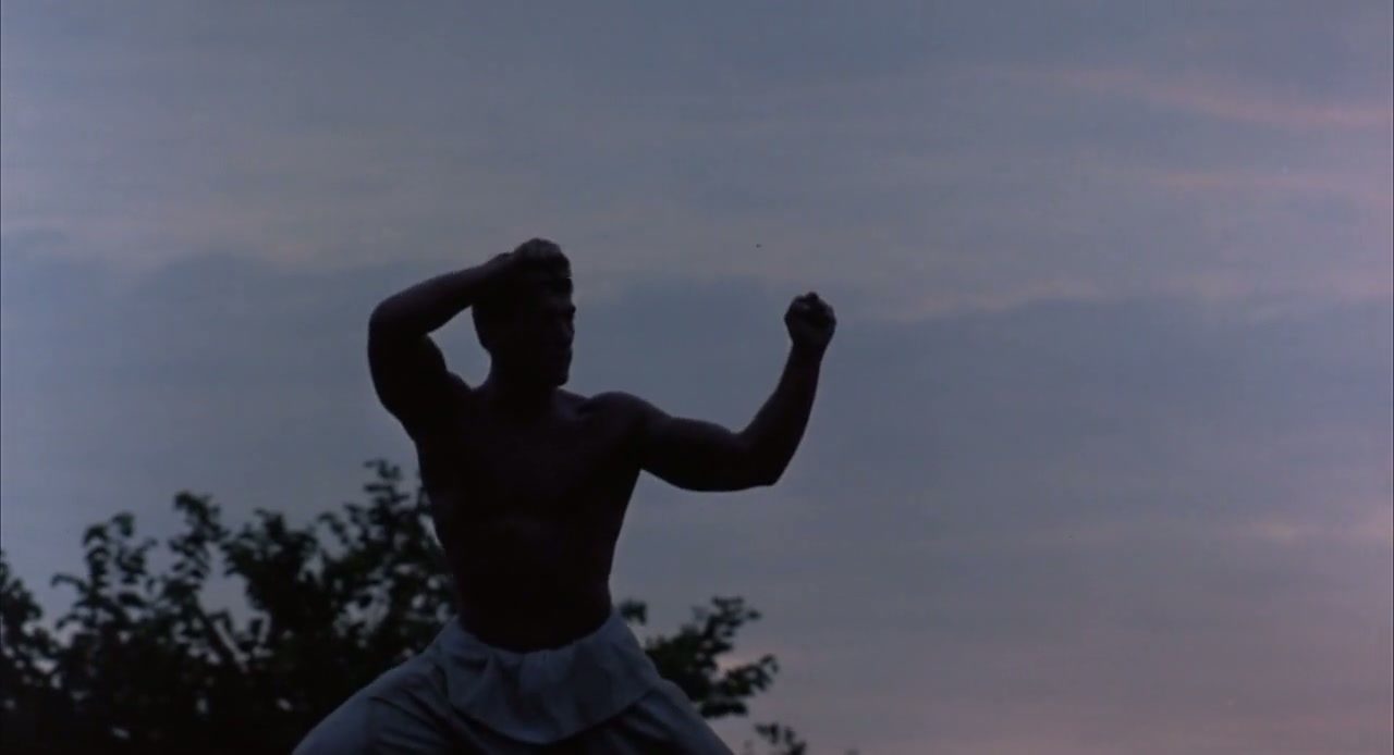Kickboxer Screenshot