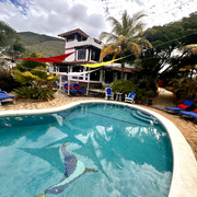 IMG 4056