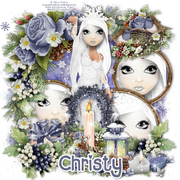 Christy 4973F