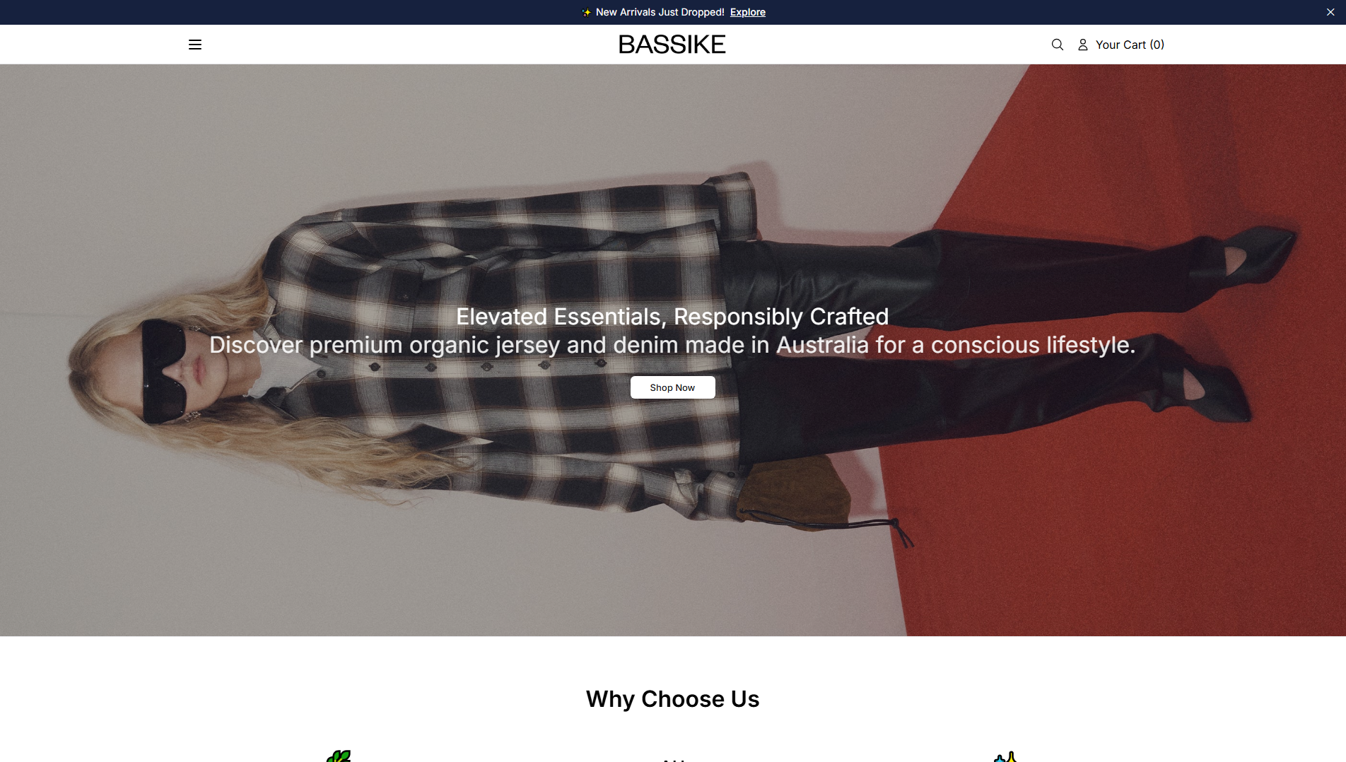 Stored capture of bassikeshop.shop