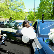 Pic 0384