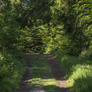 DSC1952