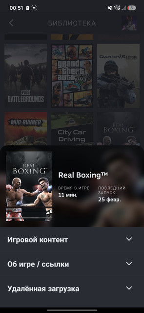 Screenshot 20260622 005152 Steam