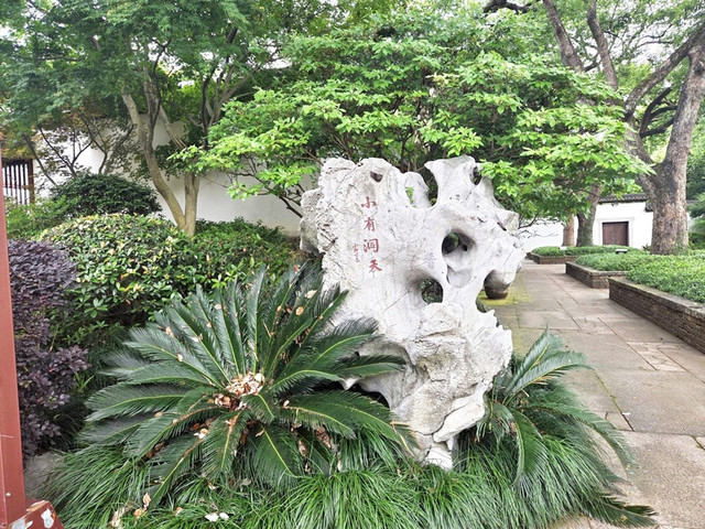 141.jpg