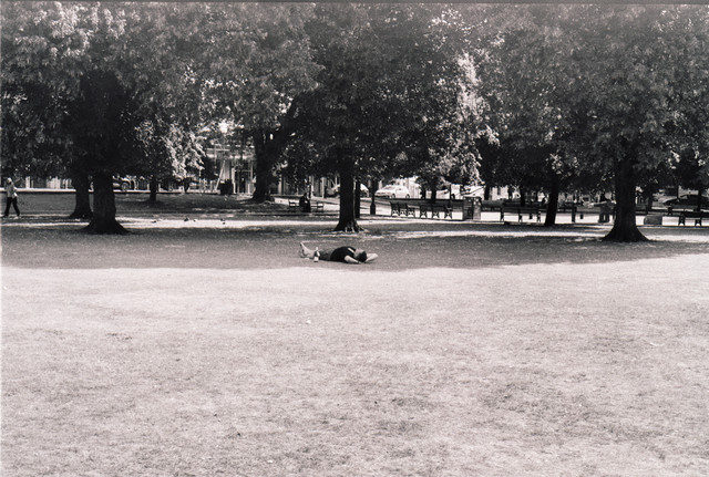 Photo-17