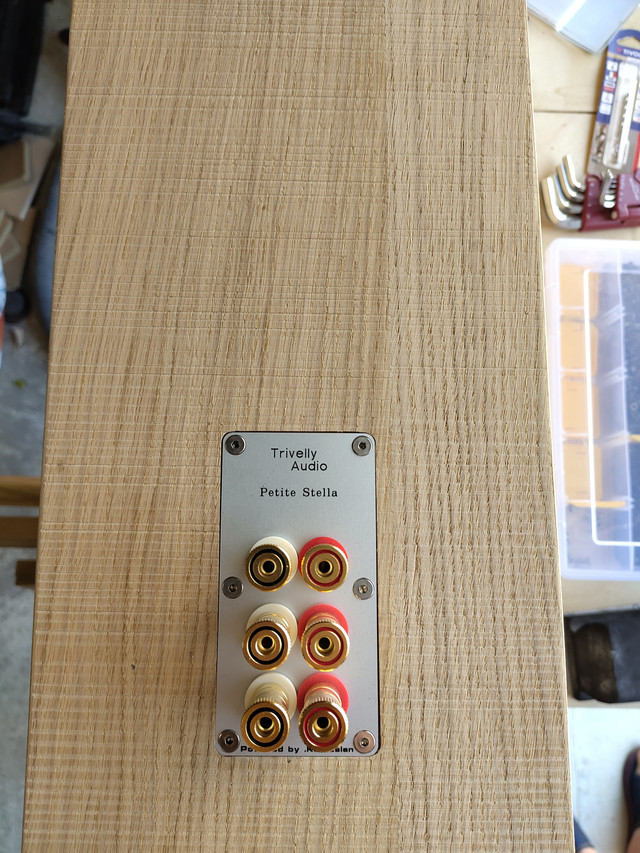 [Image: IMG-20240727-104456.jpg]