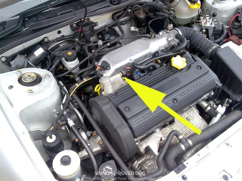 https://i.ibb.co/8LWFPMPw/oil-temp-vvc.jpg