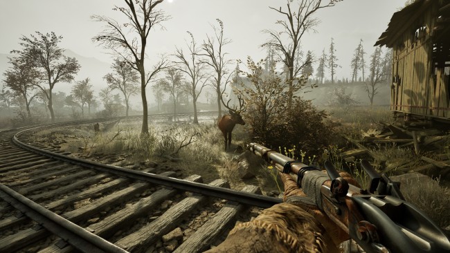 winter survival pc
