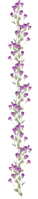 pngwing com (8).png