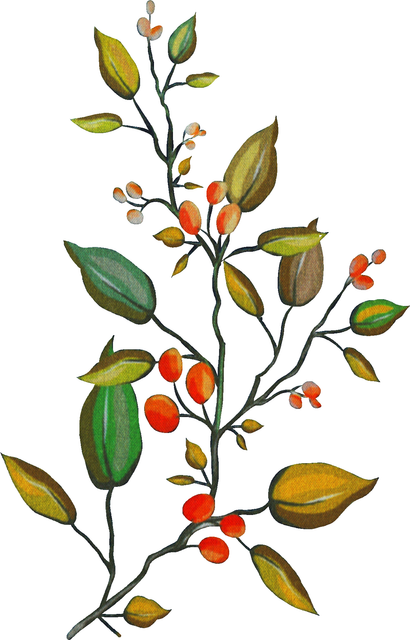 a1aebeac3e93c7e1271c177f01442d96.png