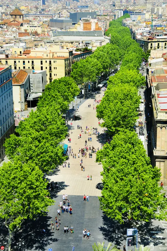 O poveste mediteraneană de neuitat