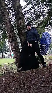 mene ammie jan Ko kese choda mene ammie jan Ko kese choda