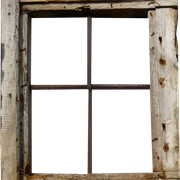 41