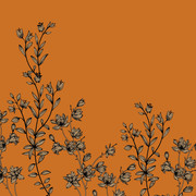 01 142