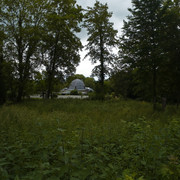 GP299