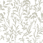 shutterstock 2659639843