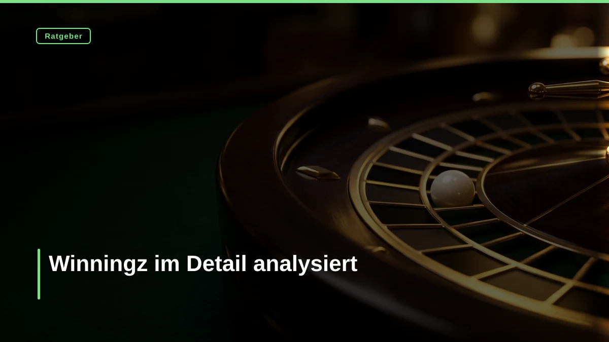 Winningz im Detail analysiert