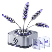 Seasons v2 Lavender + Community Cards Visual