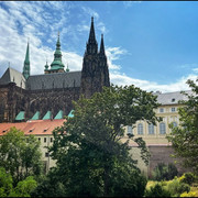 comp IMG 6695