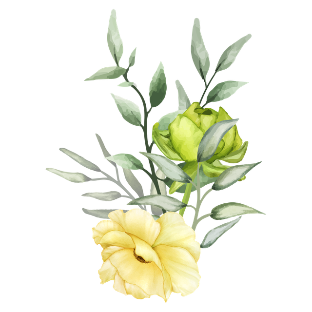 Adobe Stock 567959594.png