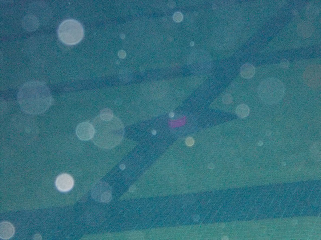 DSCN1951.jpg